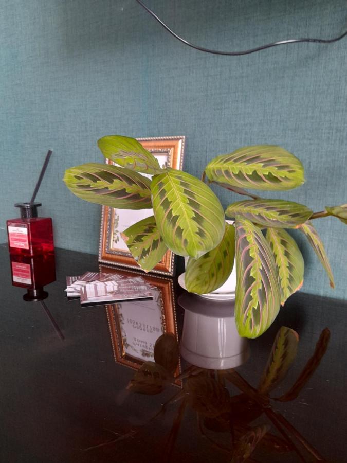 Изумруд Appartement Oral Buitenkant foto